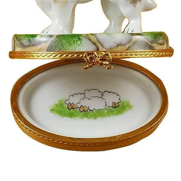 Collie